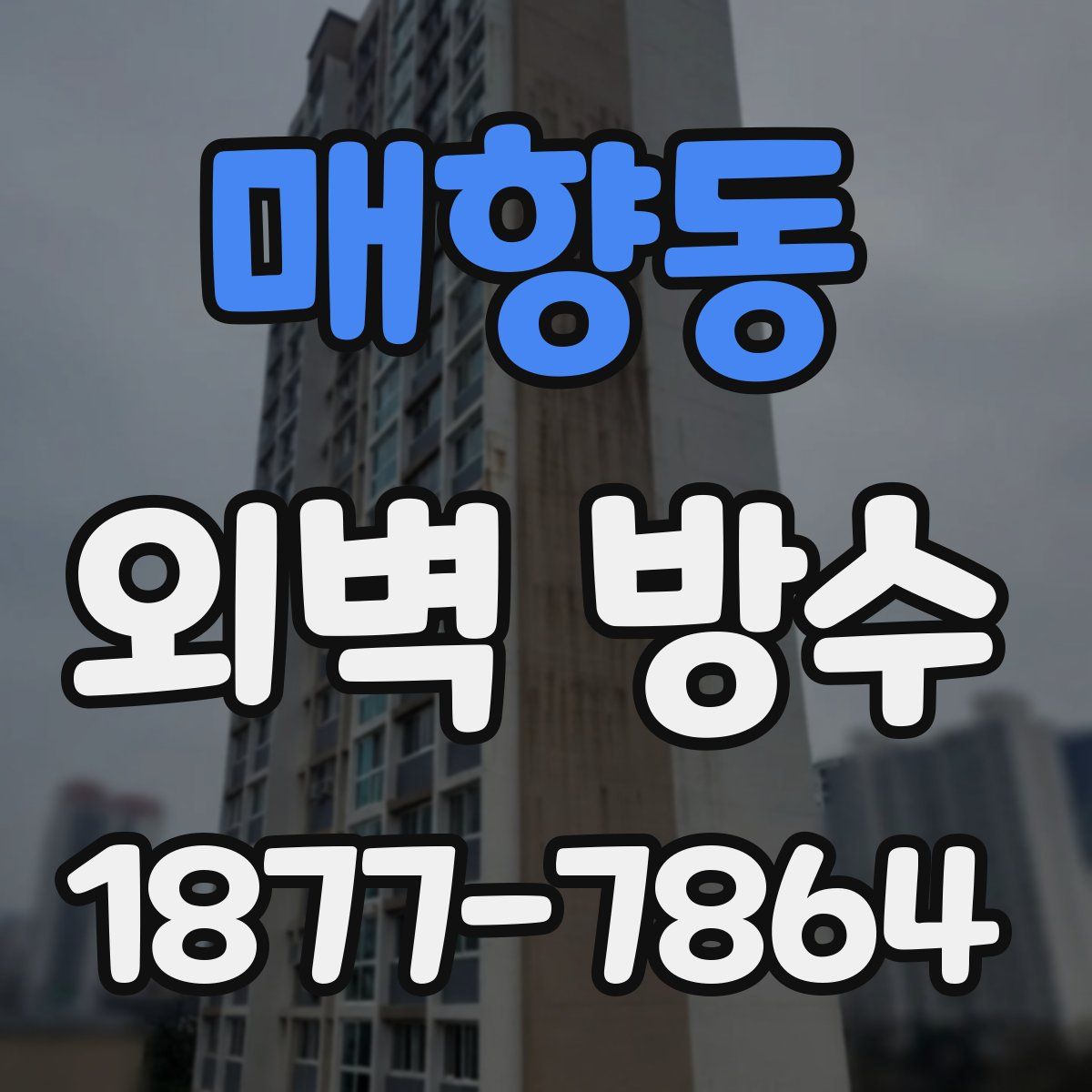 매향동 외벽 방수