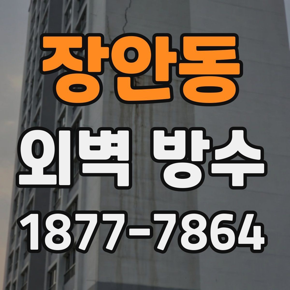 장안동 외벽 방수 전 균열을 먼저 살펴야 하는 이유