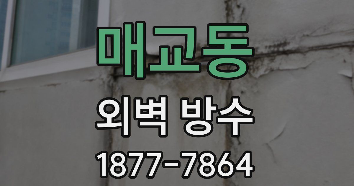매교동 외벽 방수