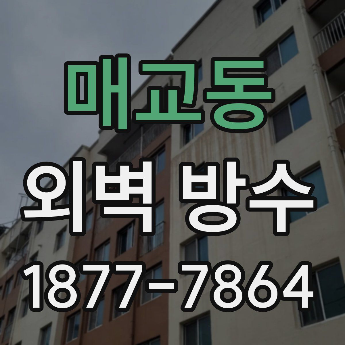 매교동 외벽 방수