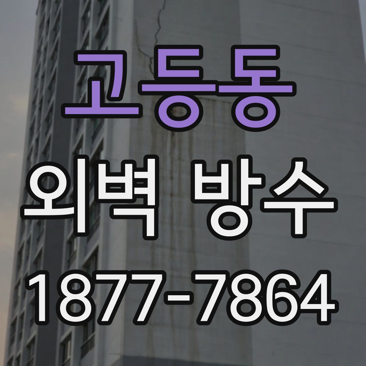 고등동 외벽 방수