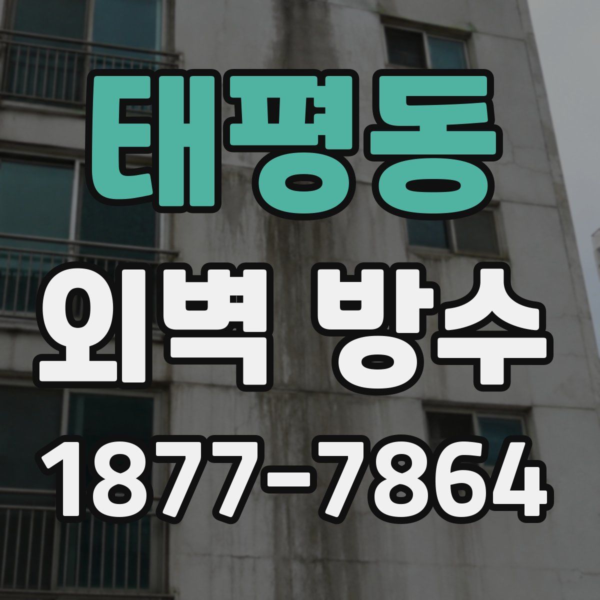 태평동 외벽 방수