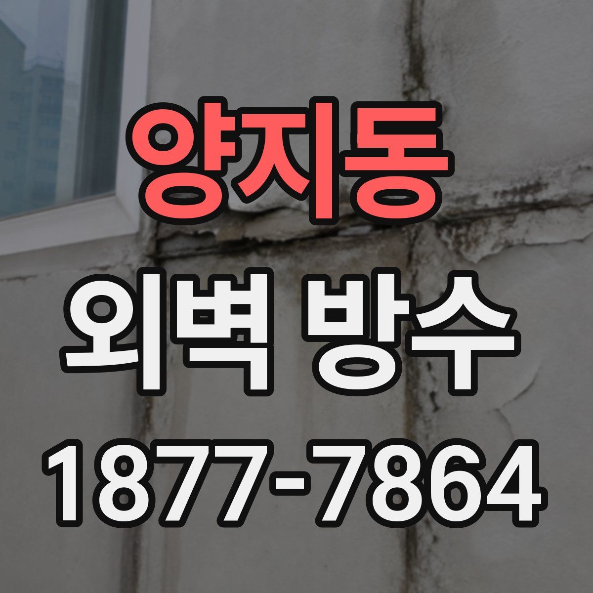 양지동 외벽 방수