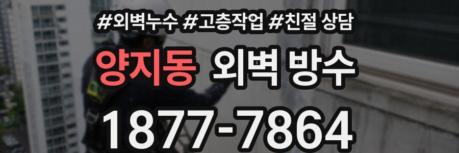 양지동 외벽 방수