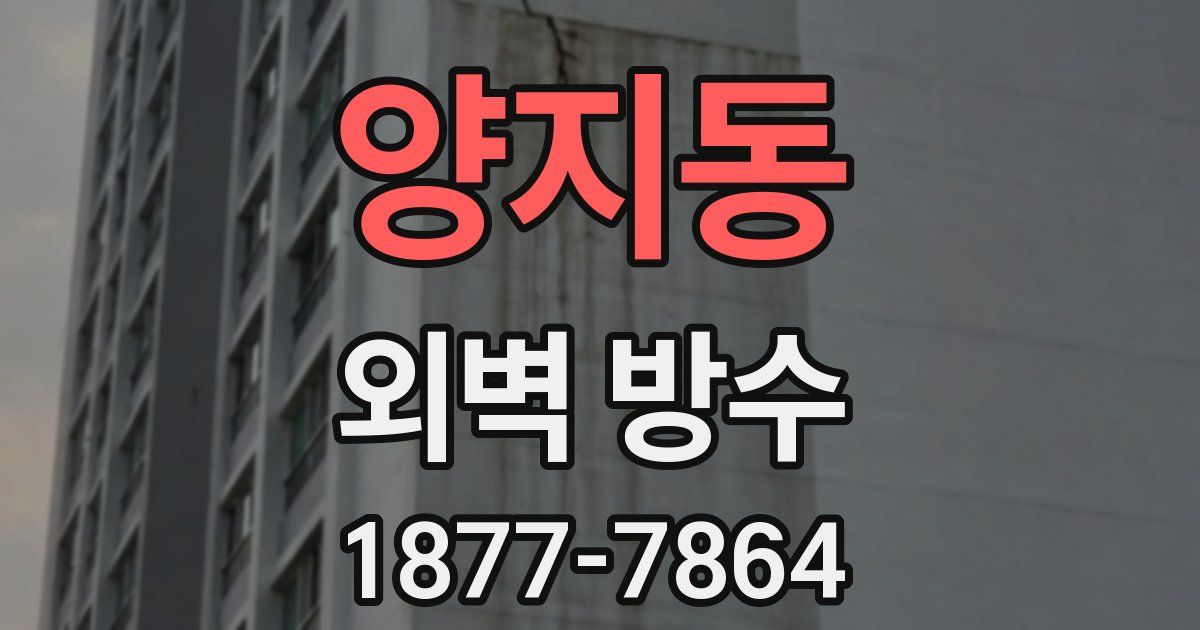 양지동 외벽 방수