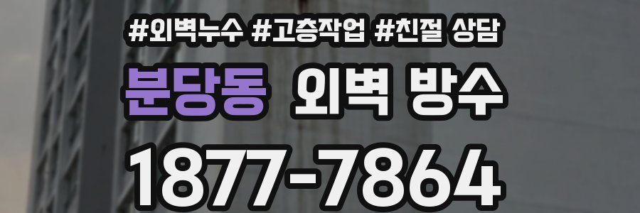 분당동 외벽 방수