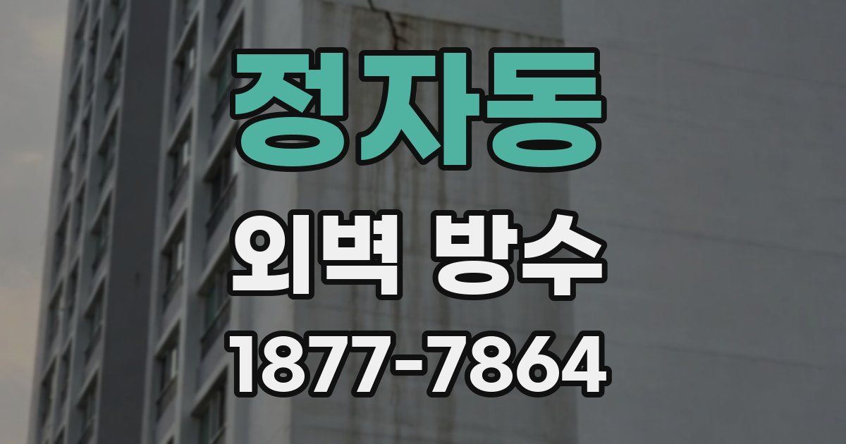 정자동 외벽 방수