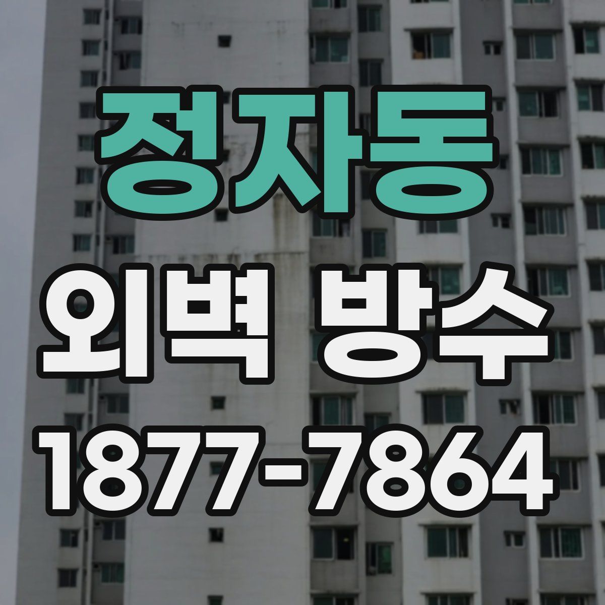 정자동 외벽 방수