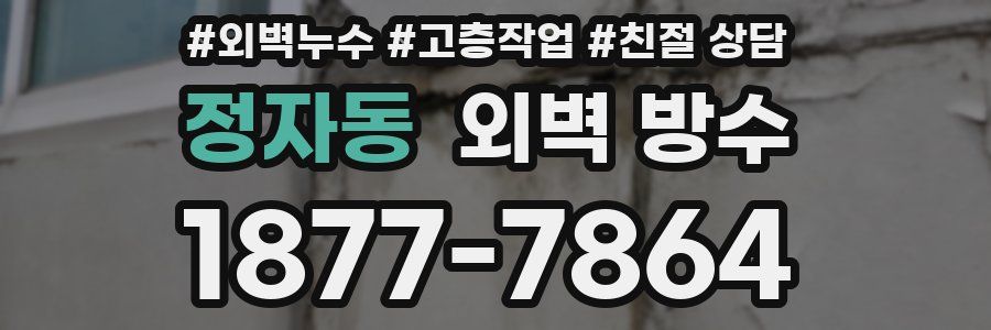 정자동 외벽 방수