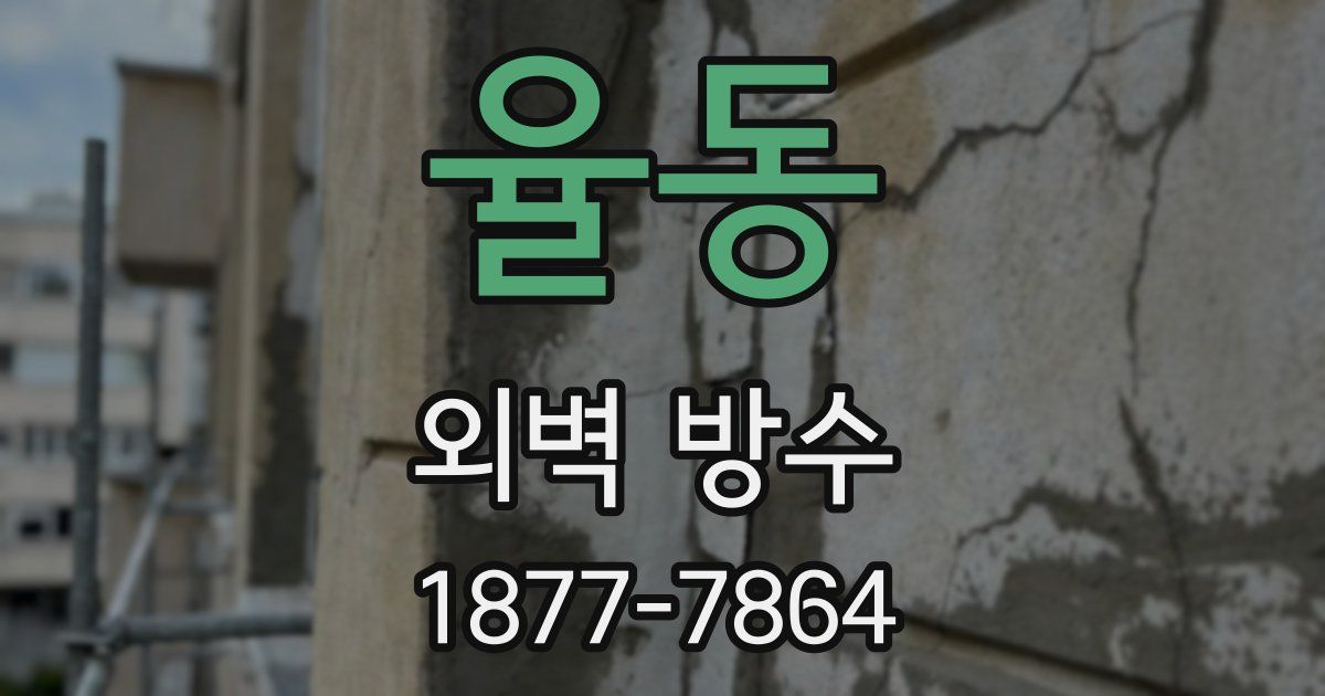 율동 외벽 방수