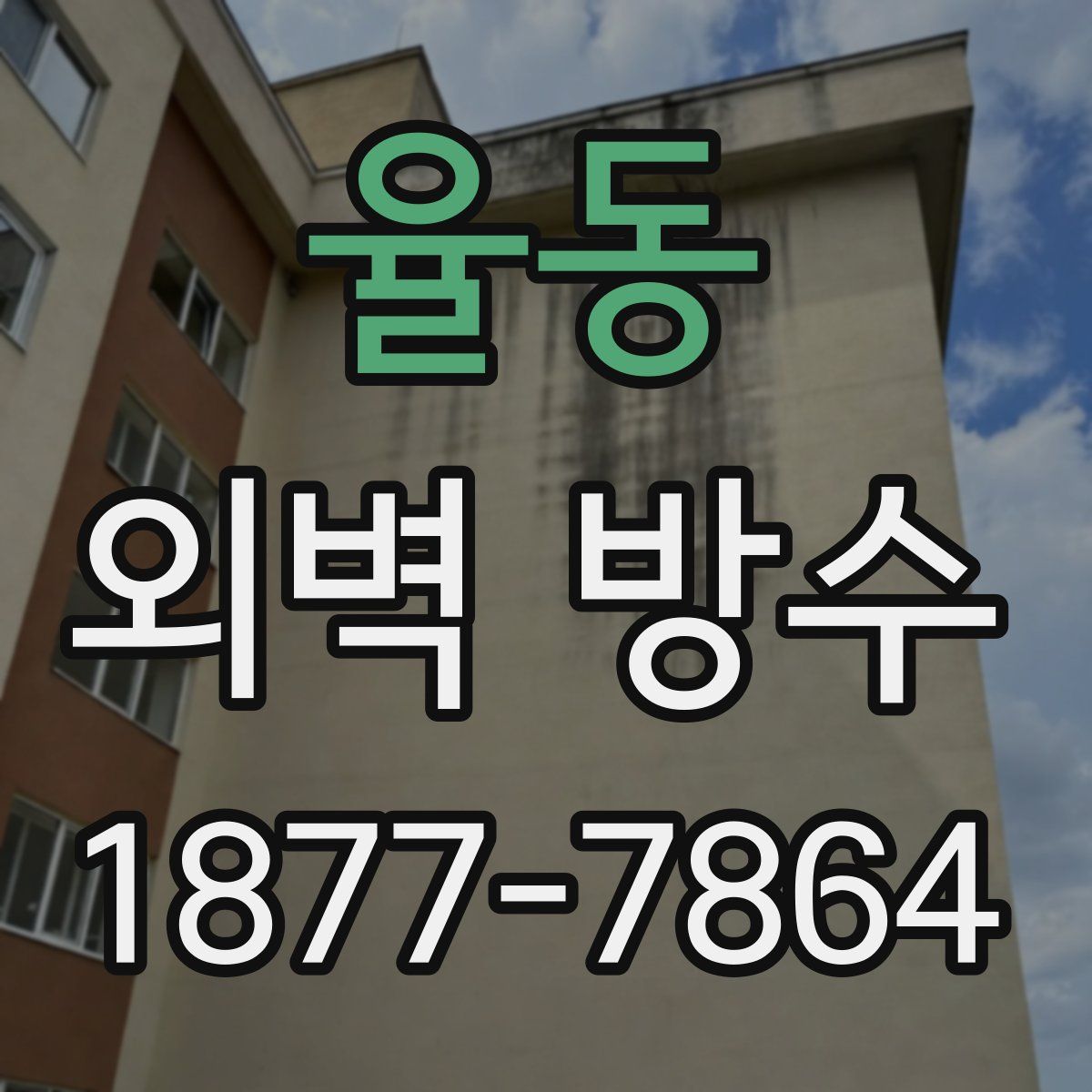 율동 외벽 방수
