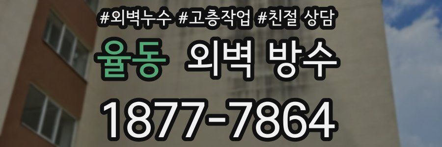 율동 외벽 방수