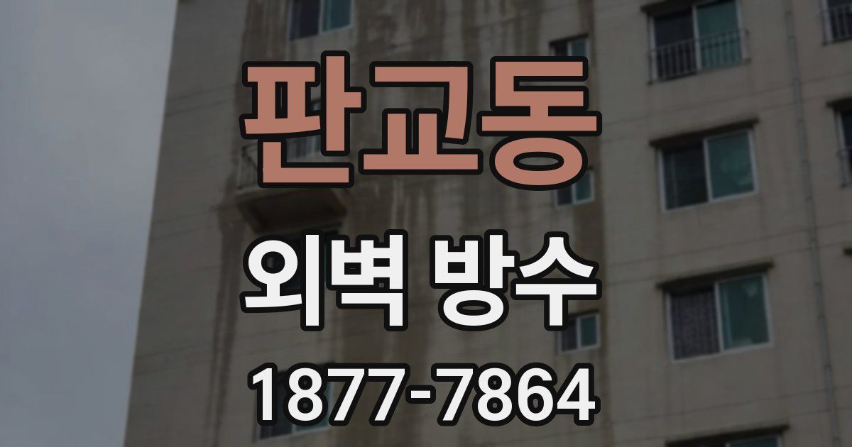 판교동 외벽 방수
