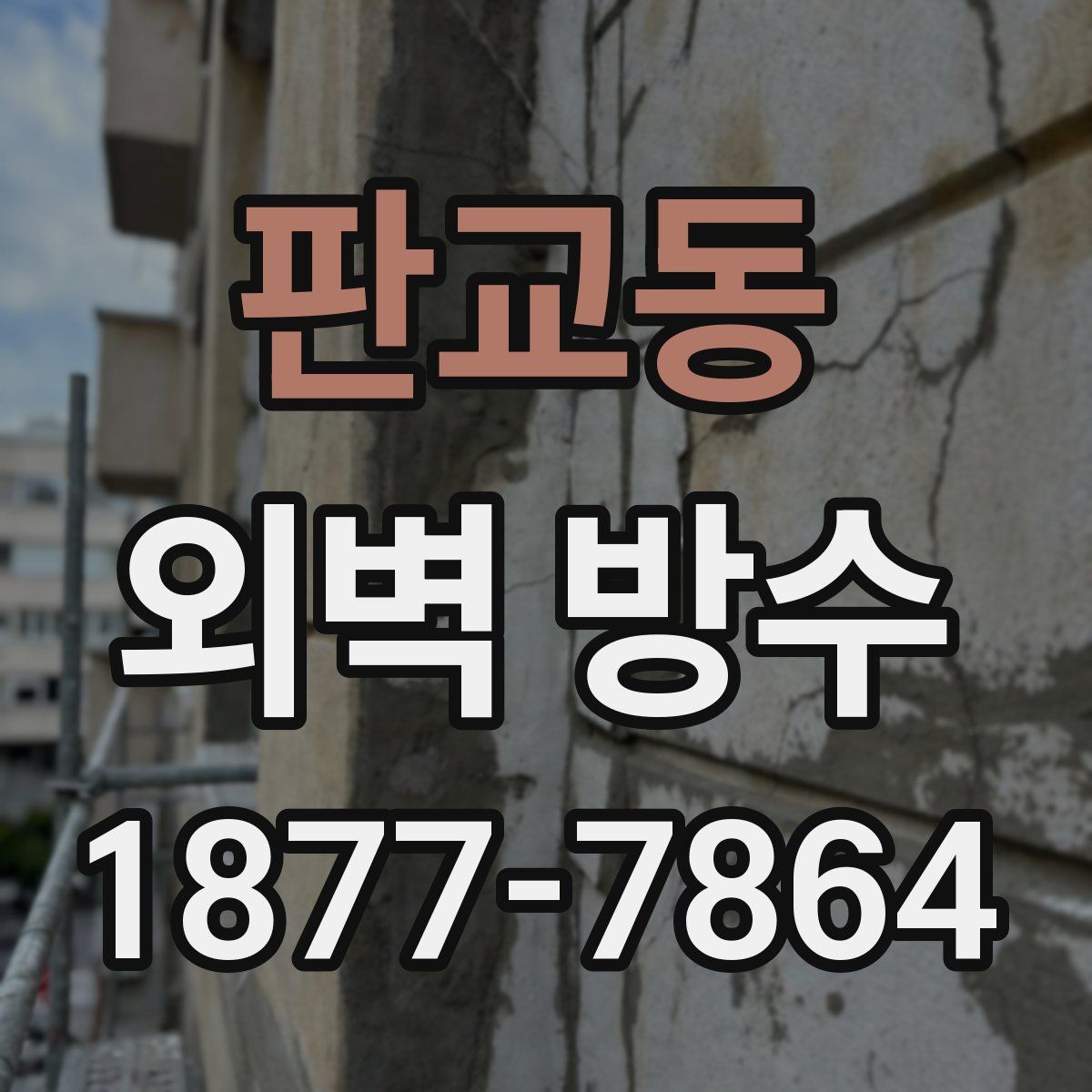 판교동 외벽 방수