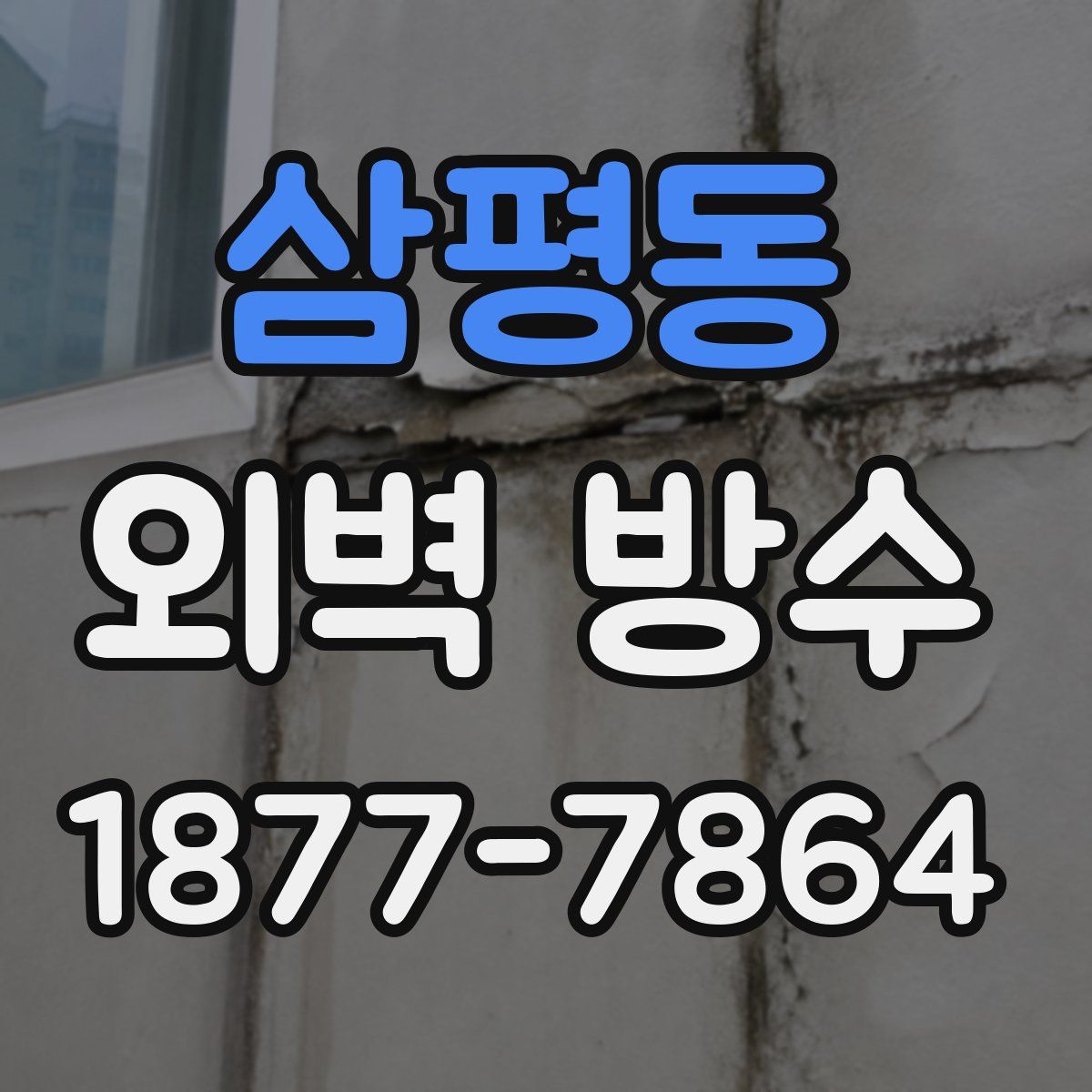 삼평동 외벽 방수
