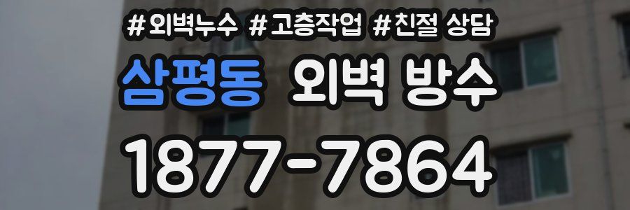 삼평동 외벽 방수