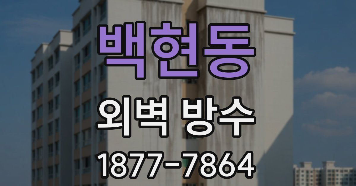 백현동 외벽 방수