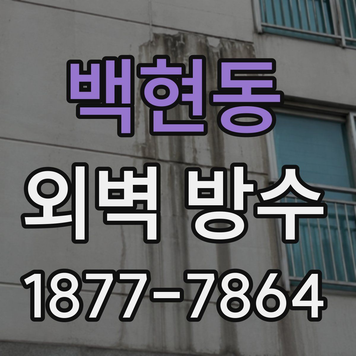 백현동 외벽 방수