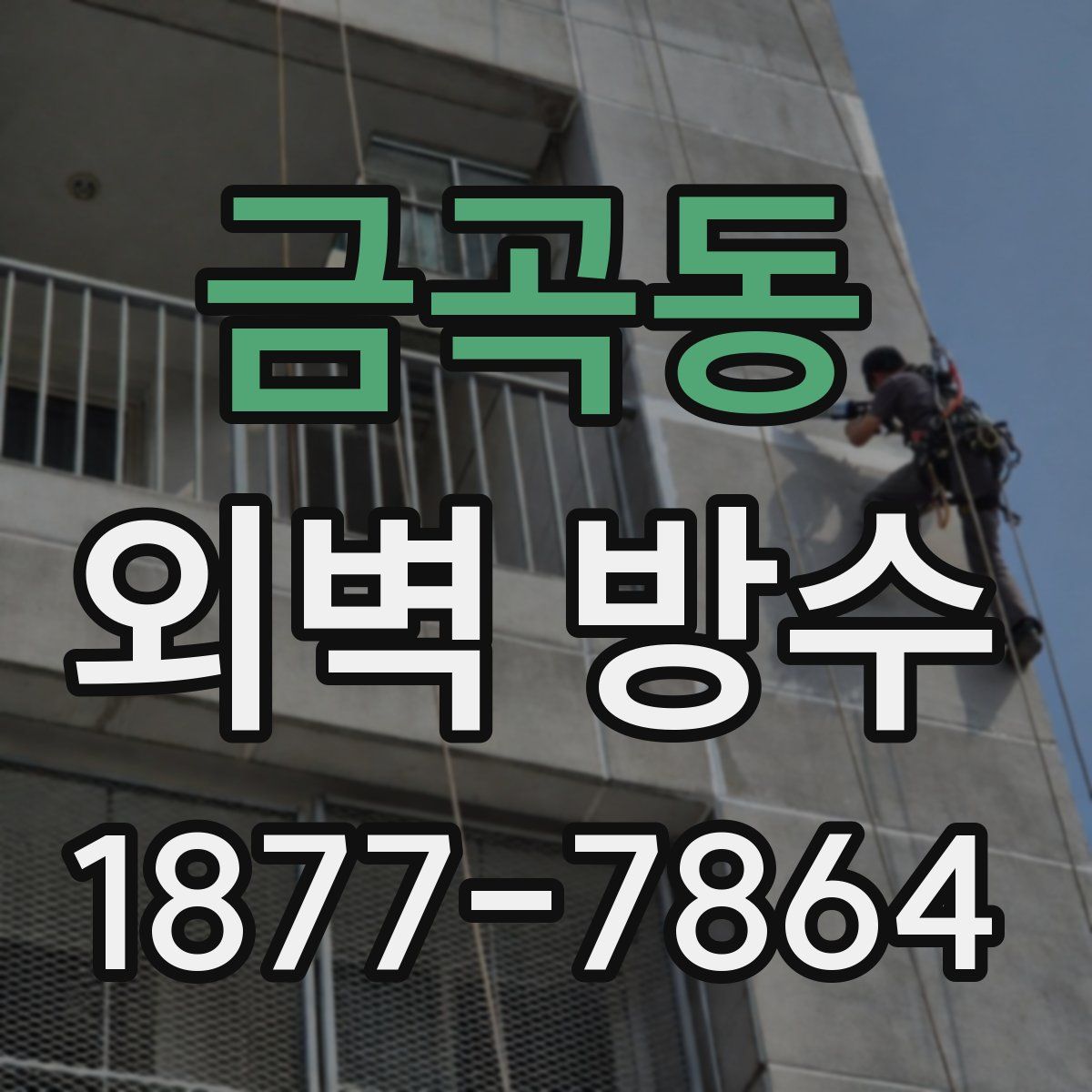 금곡동 외벽 방수