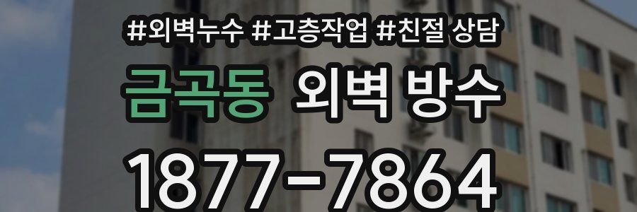 금곡동 외벽 방수