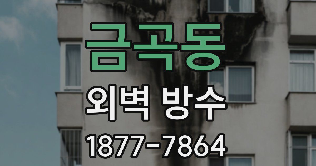 금곡동 외벽 방수