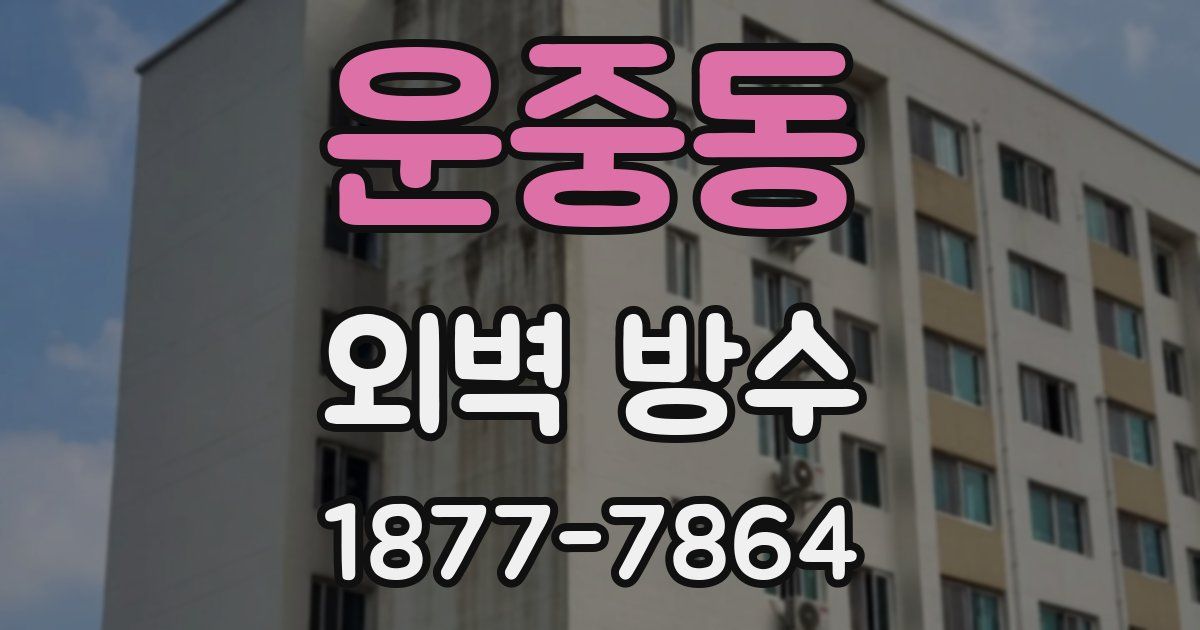 운중동 외벽 방수