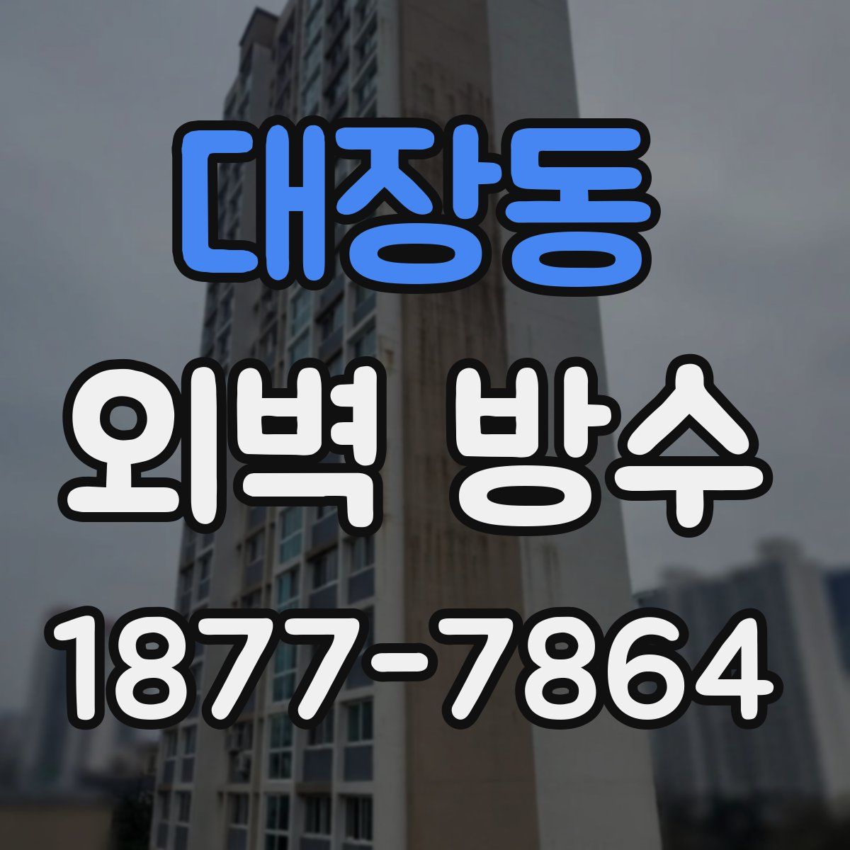 대장동 외벽 방수