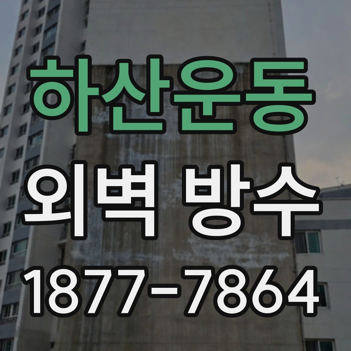 하산운동 외벽 방수 보수와 전체 시공의 차이