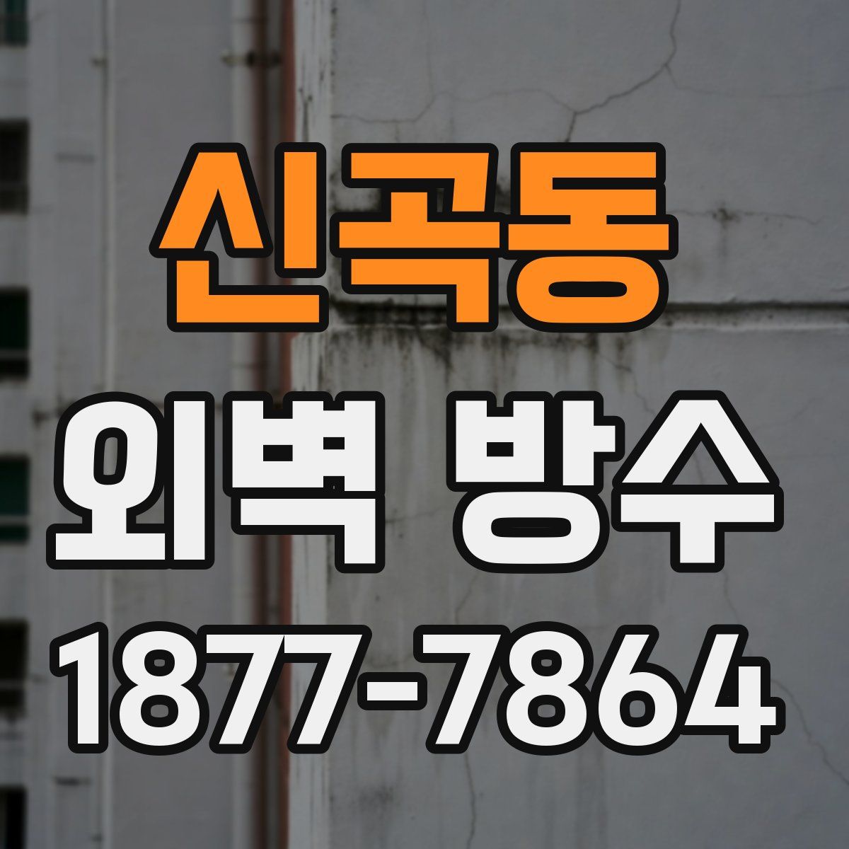 신곡동 외벽 방수