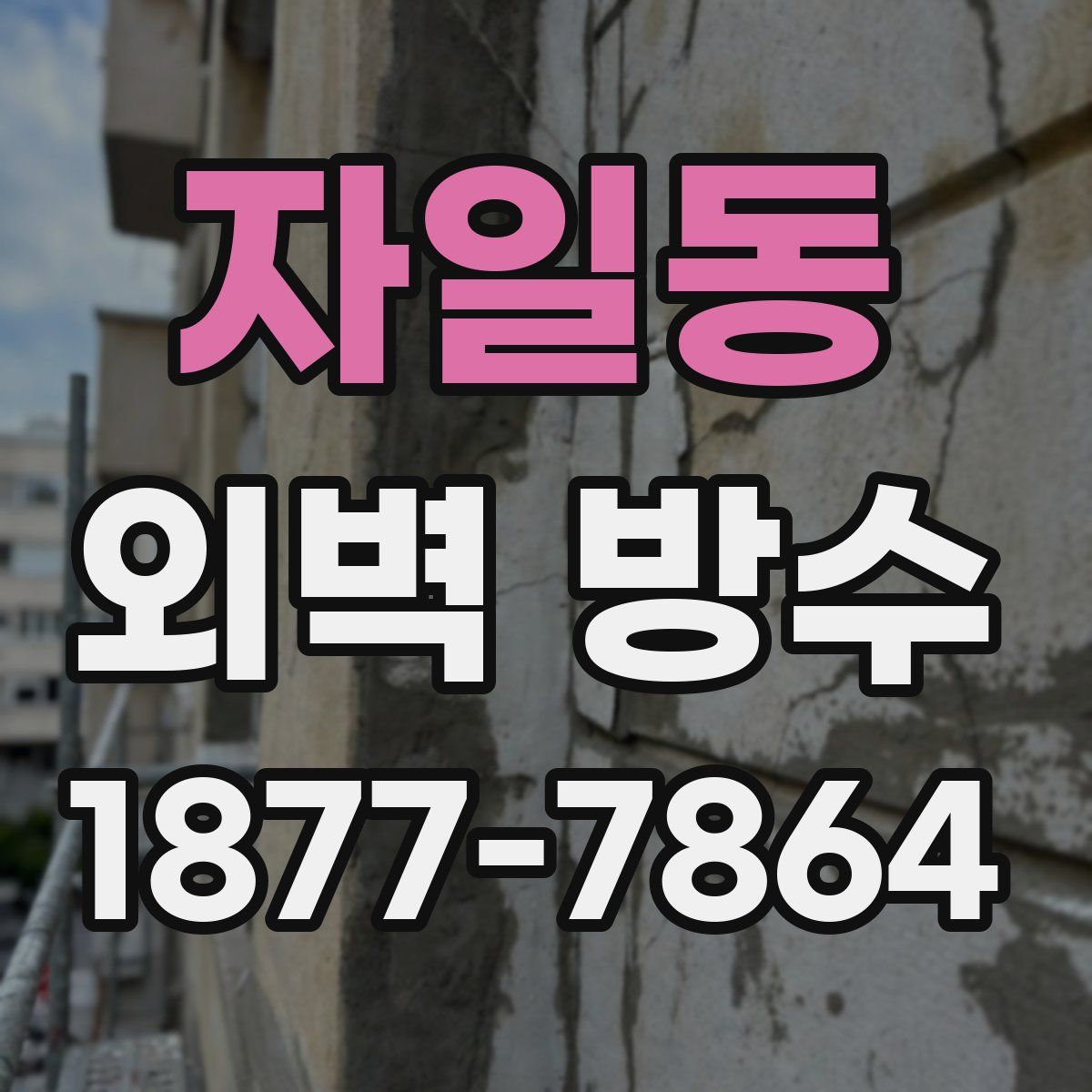 자일동 외벽 방수