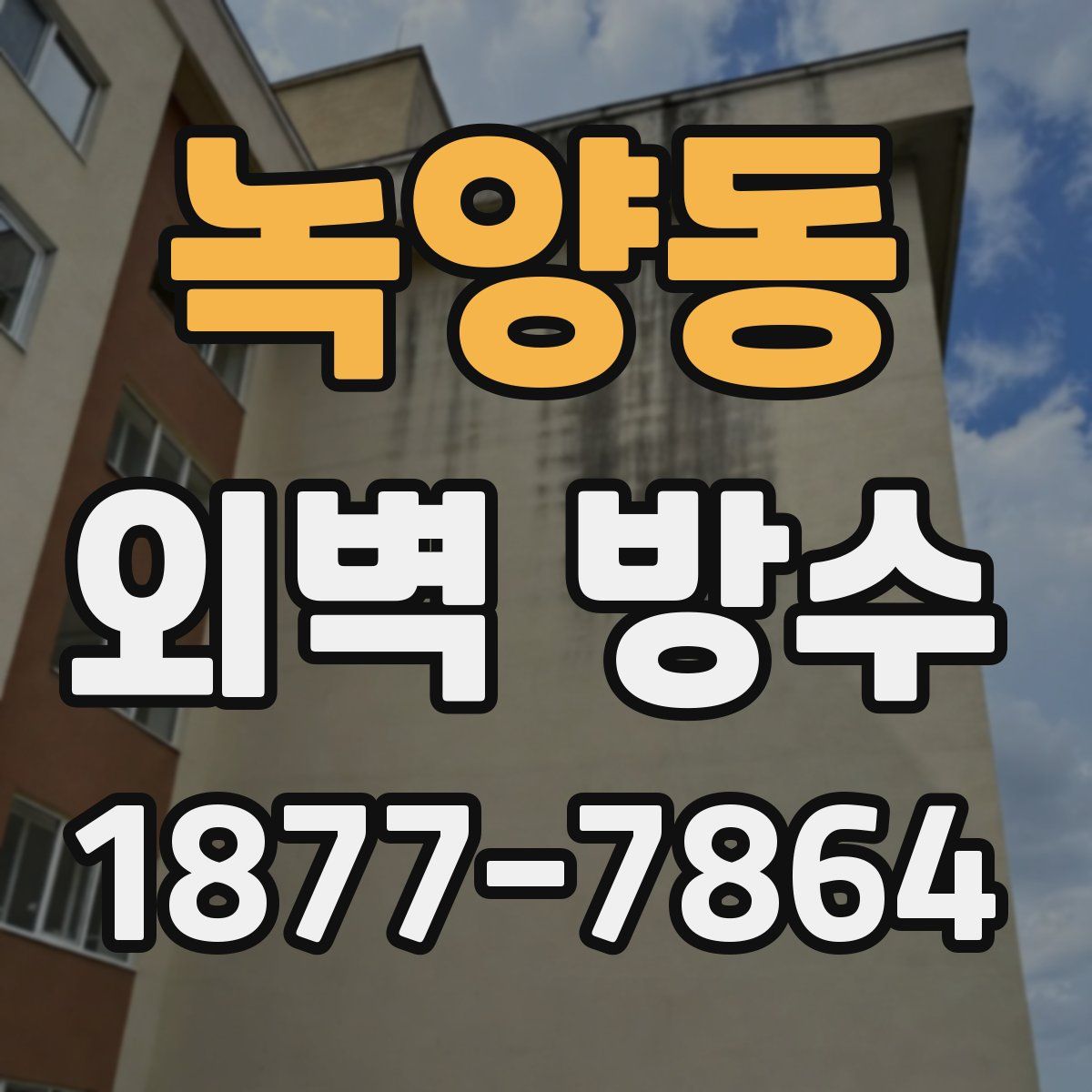 녹양동 외벽 방수