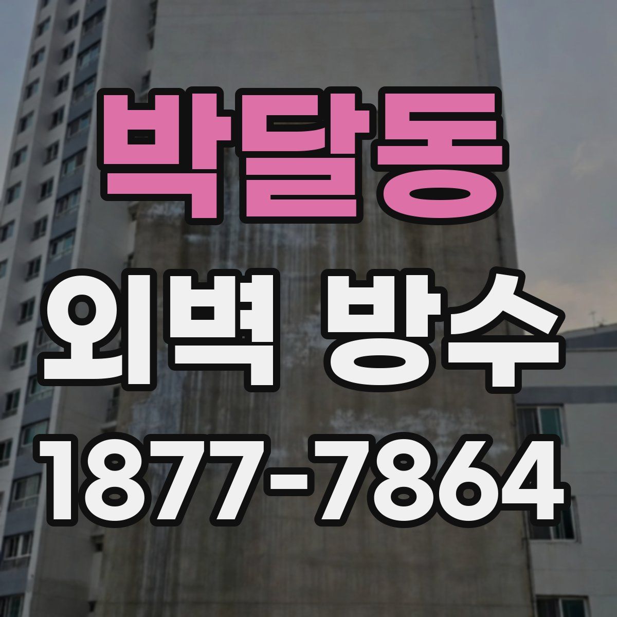 박달동 외벽 방수