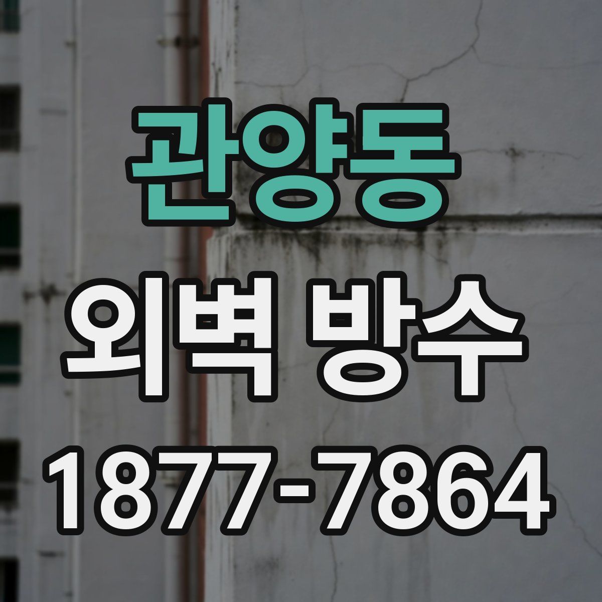 관양동 외벽 방수