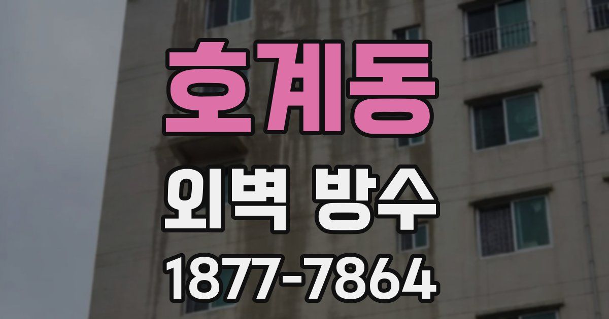 호계동 외벽 방수