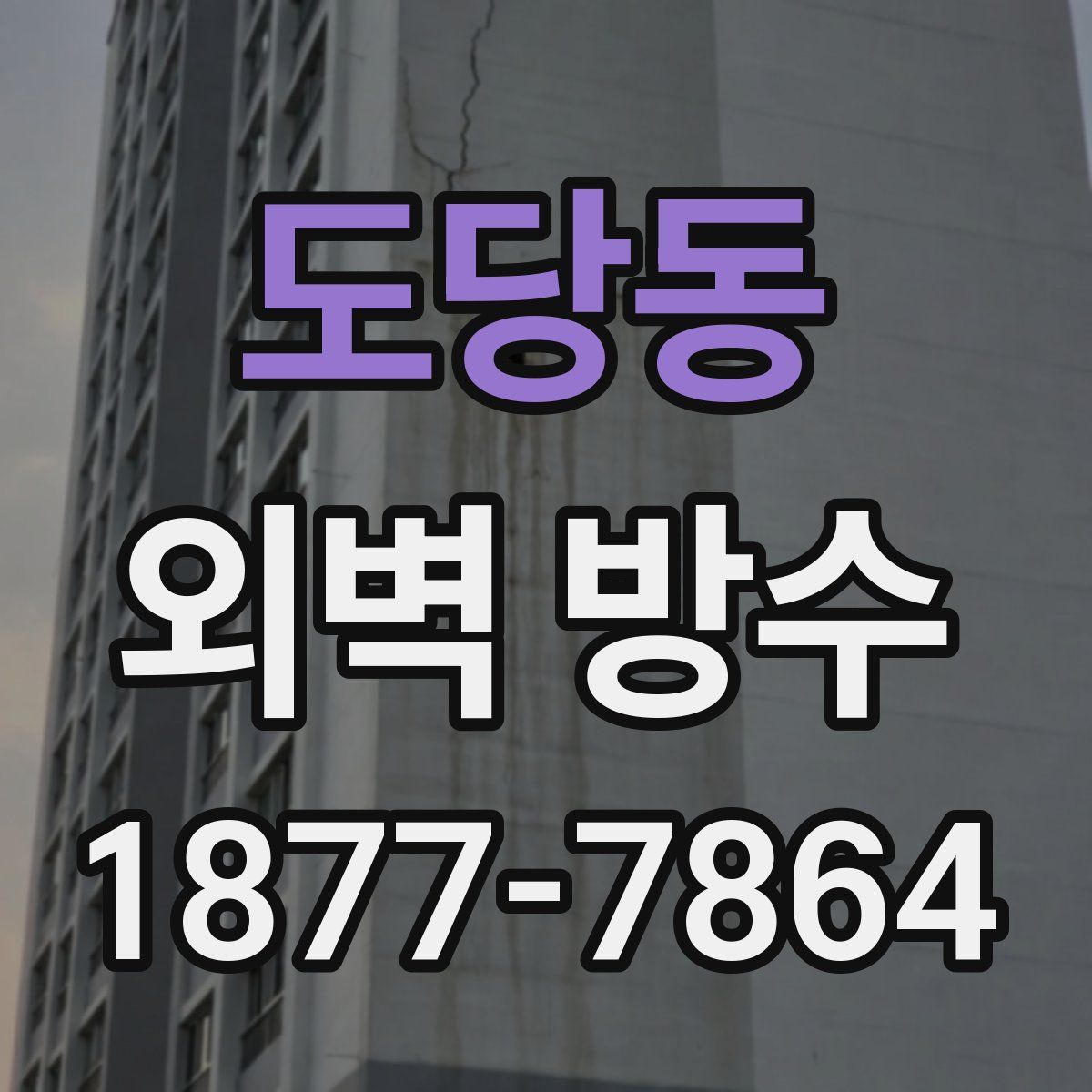 도당동 외벽 방수