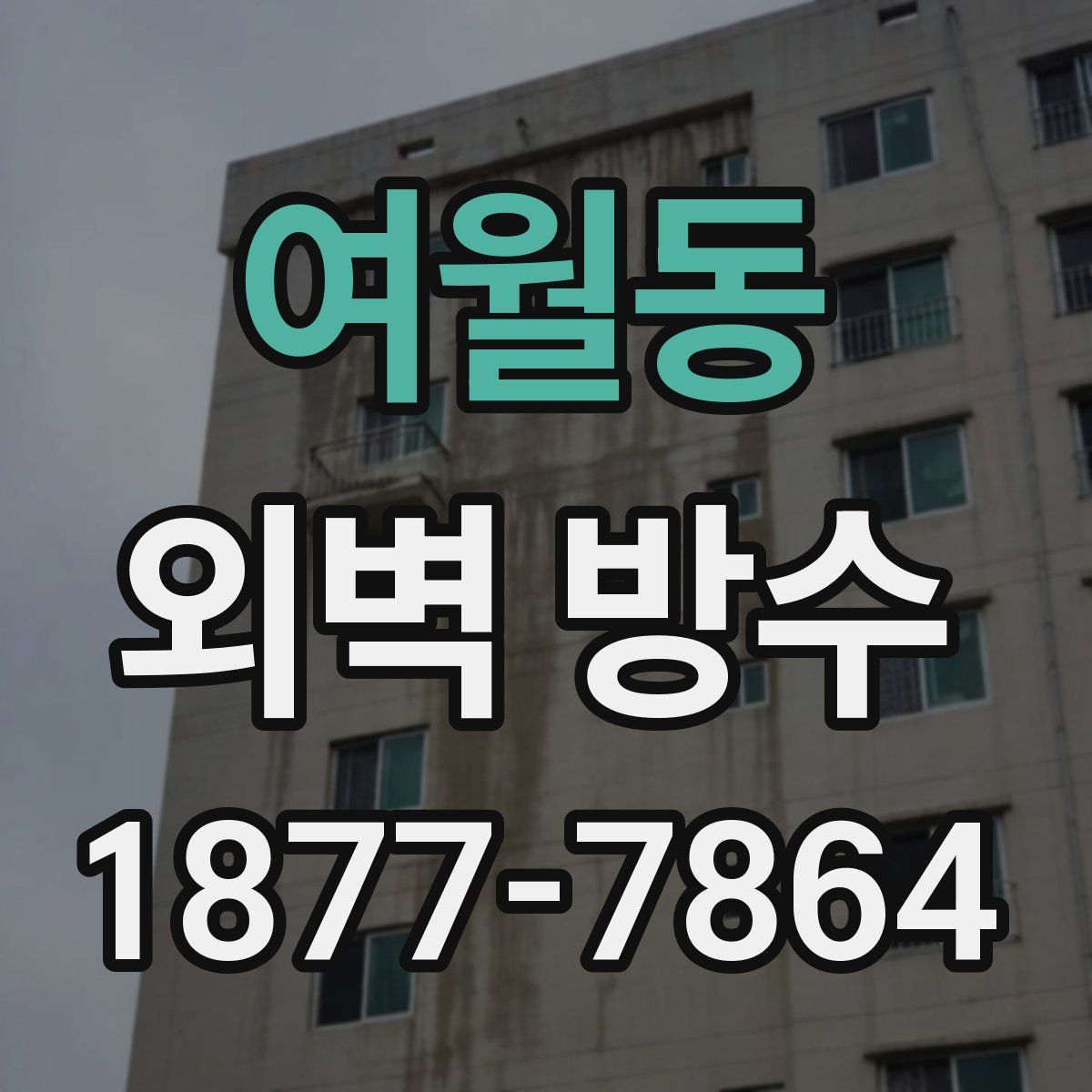여월동 외벽 방수