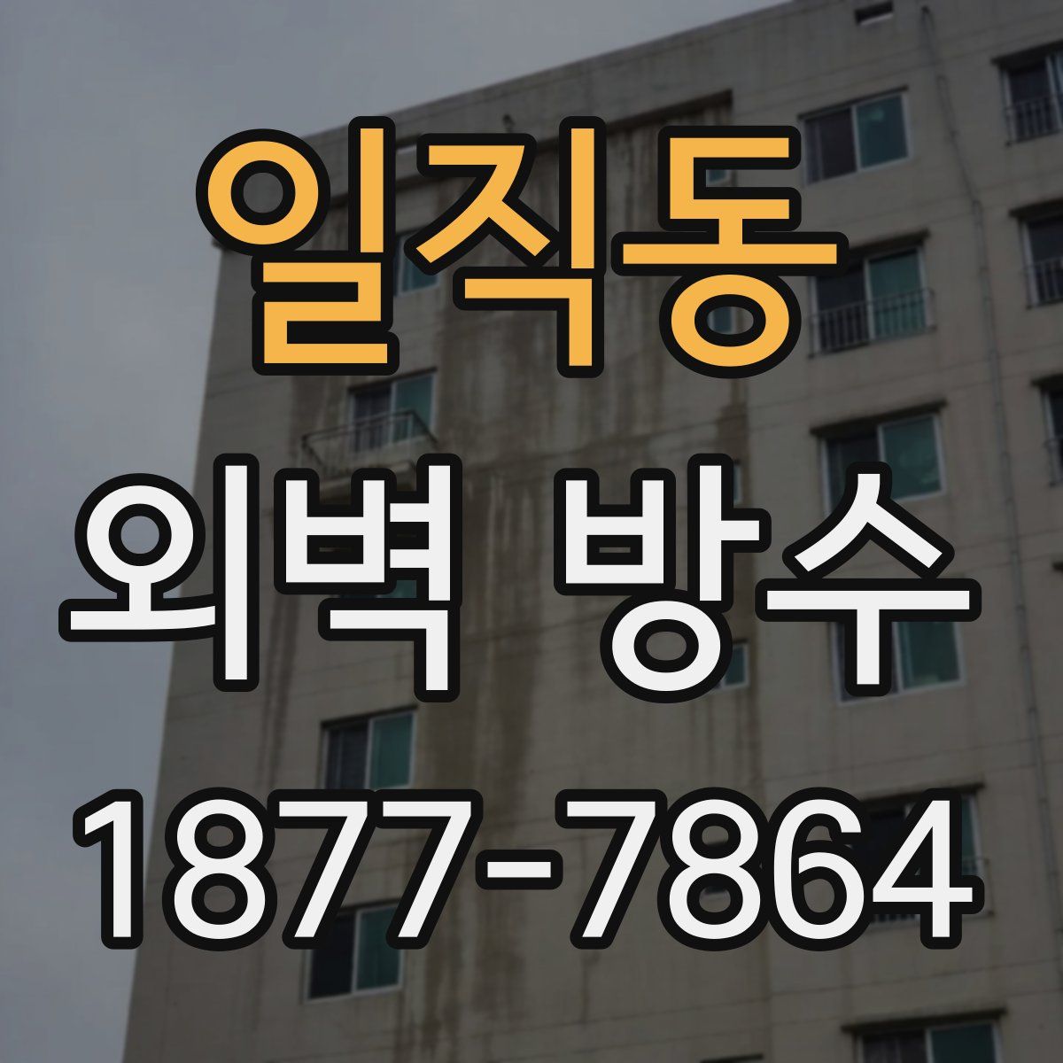 일직동 외벽 방수