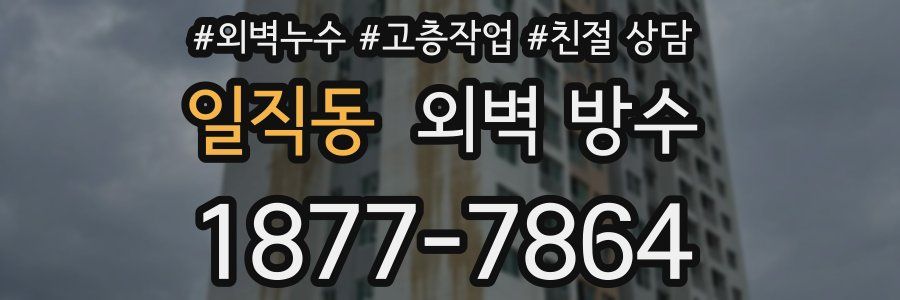 일직동 외벽 방수