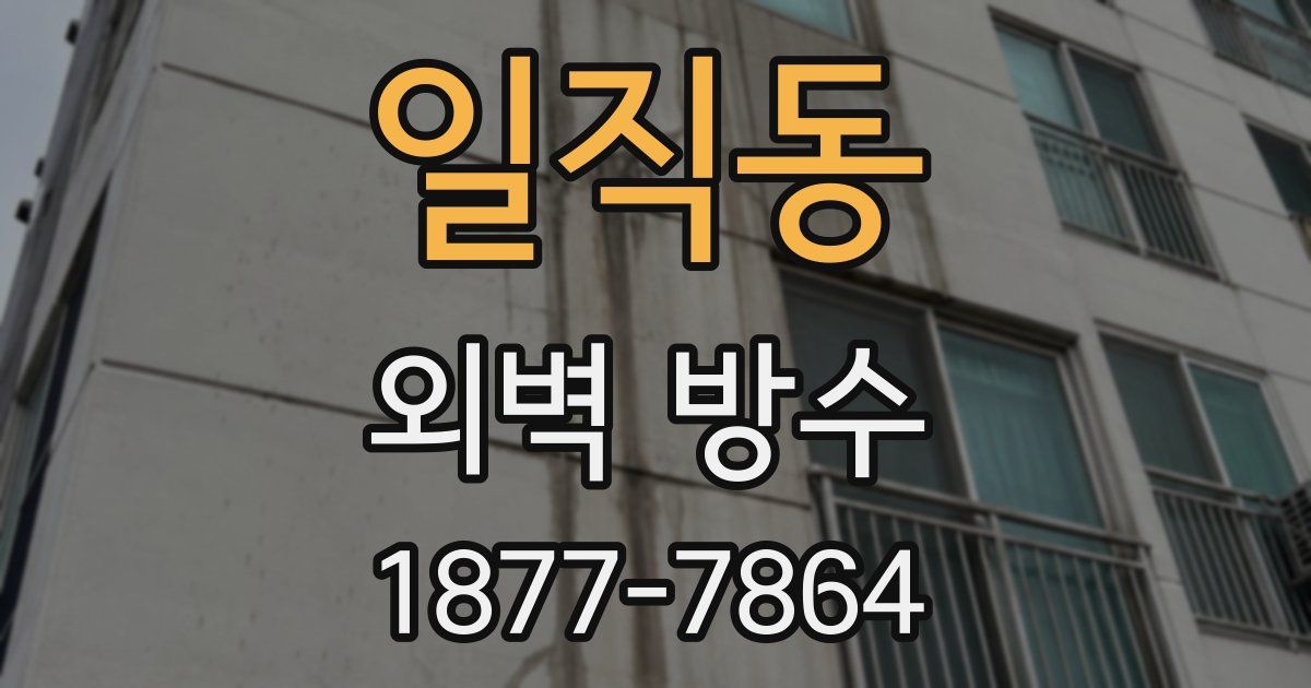 일직동 외벽 방수