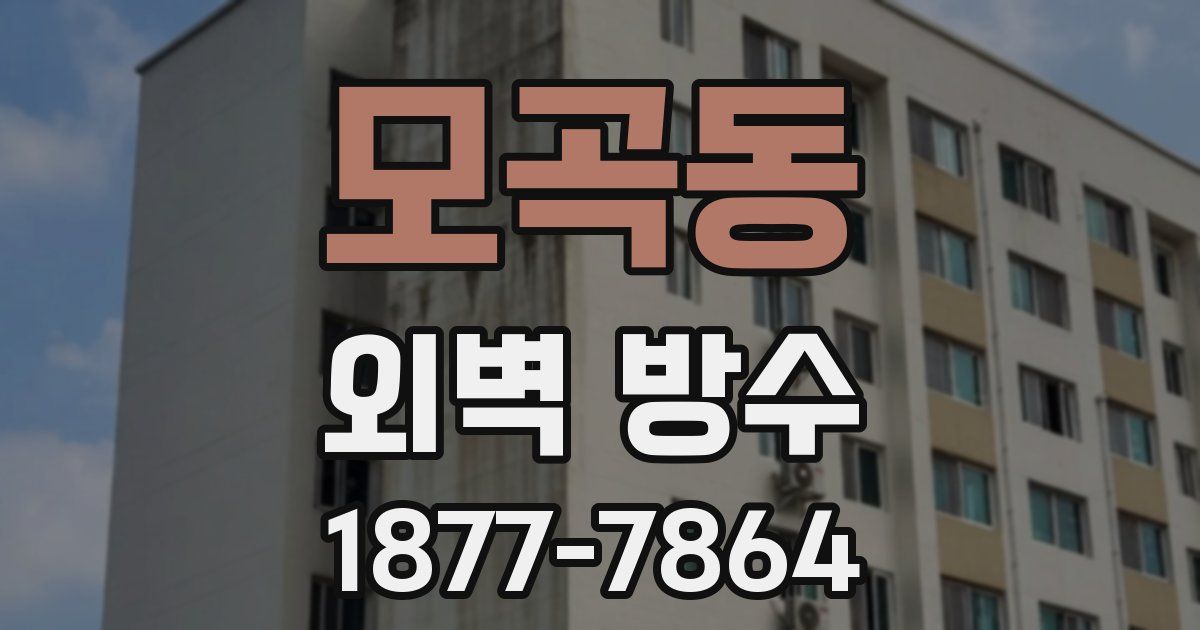 모곡동 외벽 방수