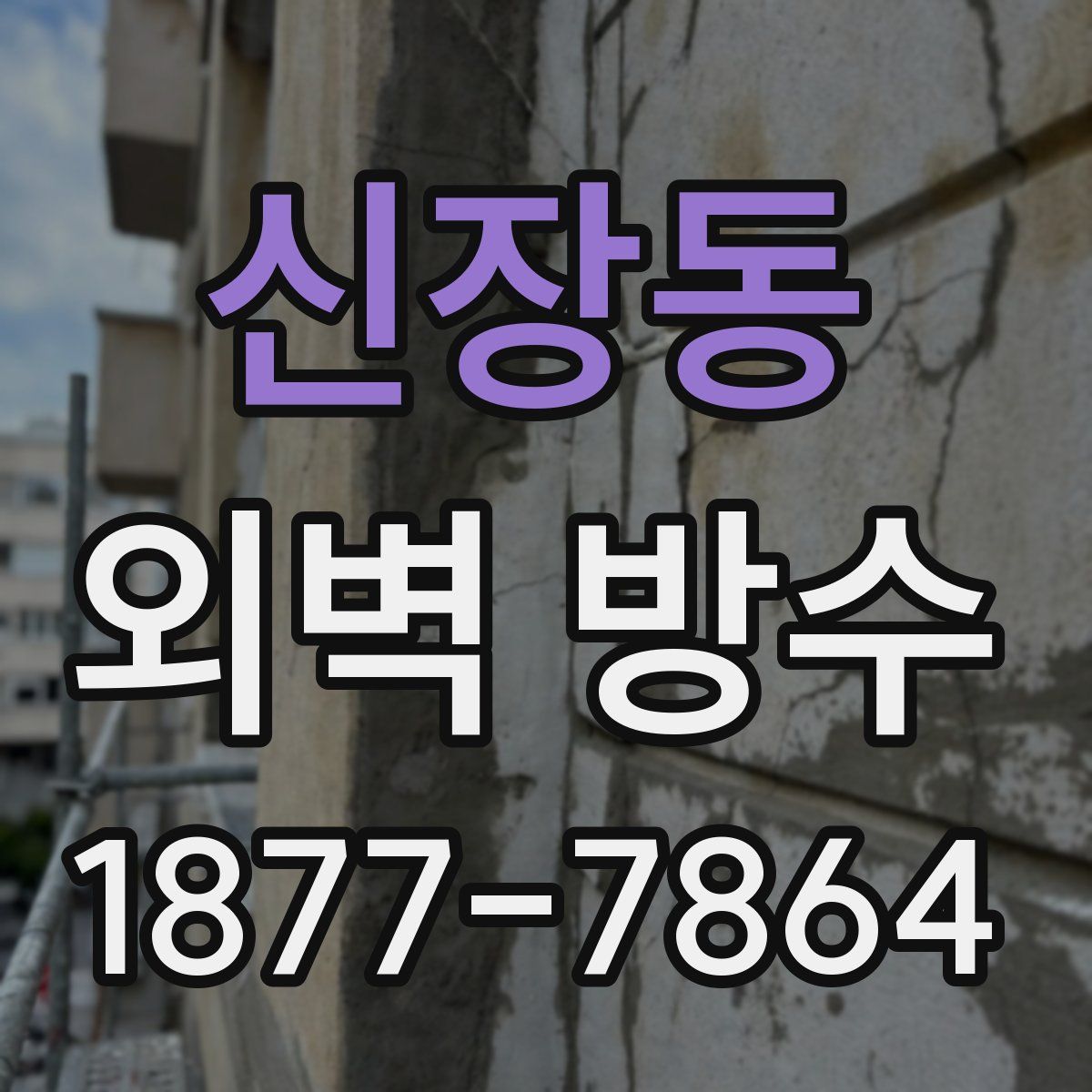 신장동 외벽 방수