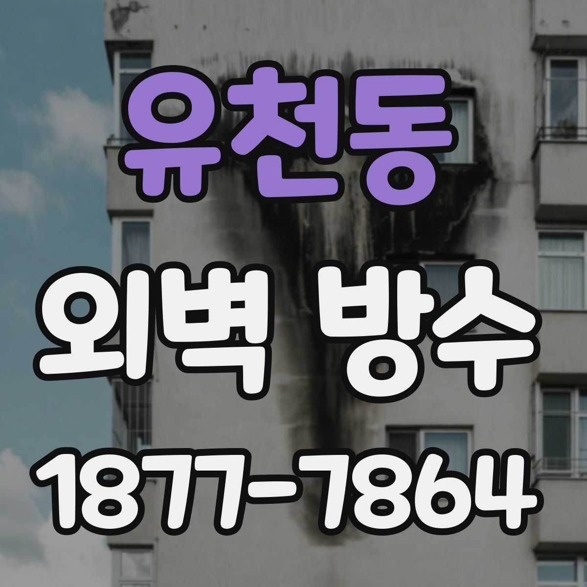 유천동 외벽 방수 문제를 방치하면 생길 수 있는 일