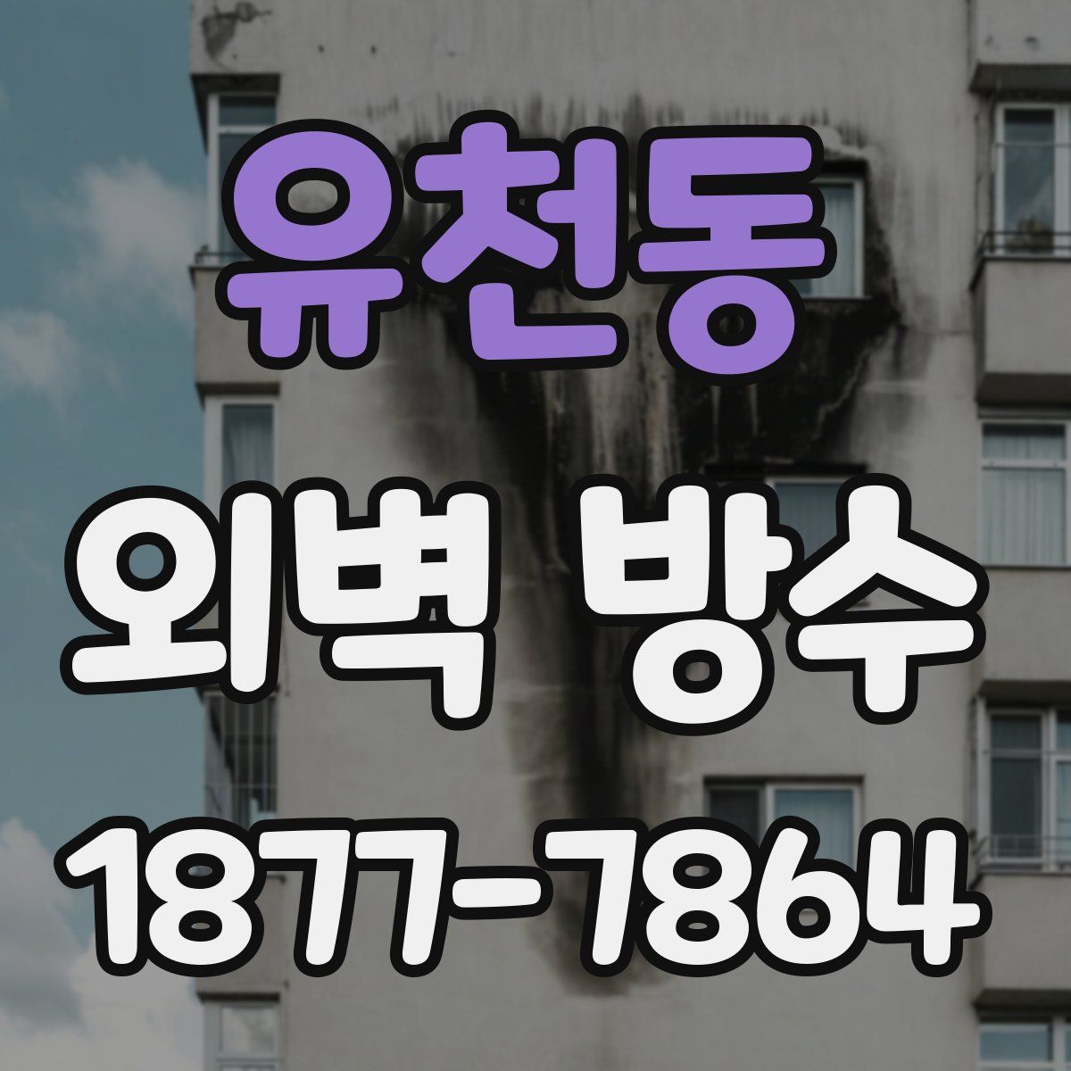 유천동 외벽 방수