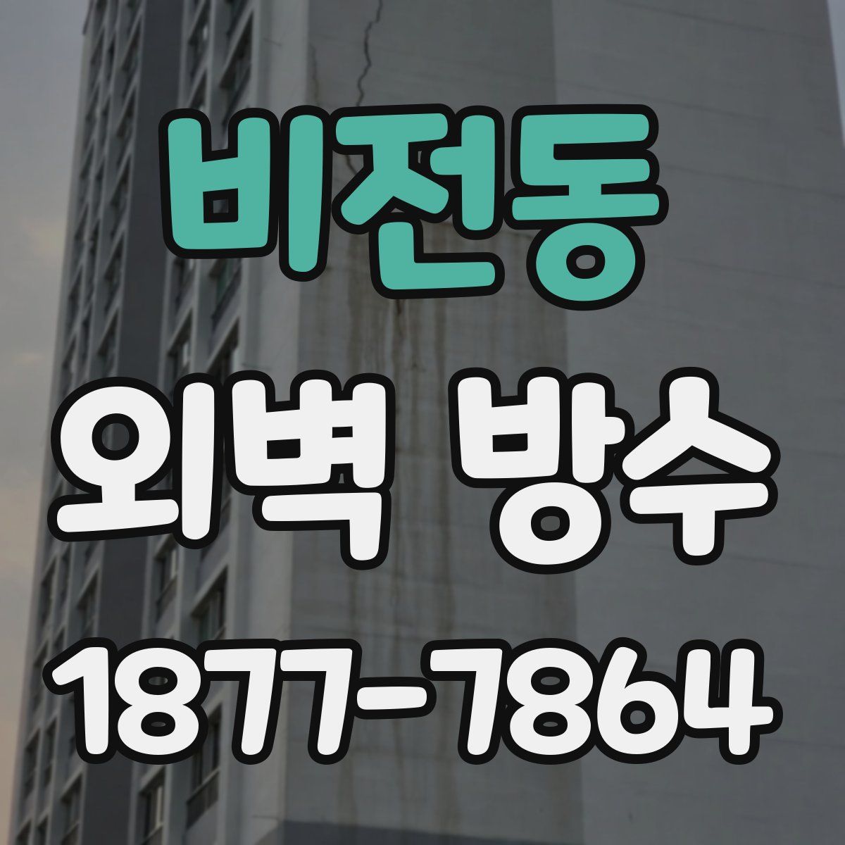 비전동 외벽 방수