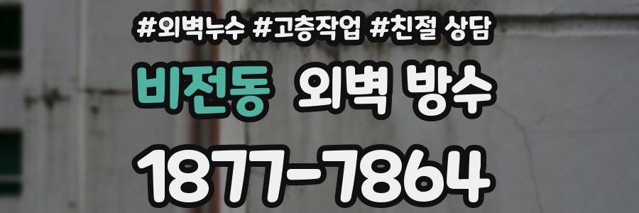 비전동 외벽 방수