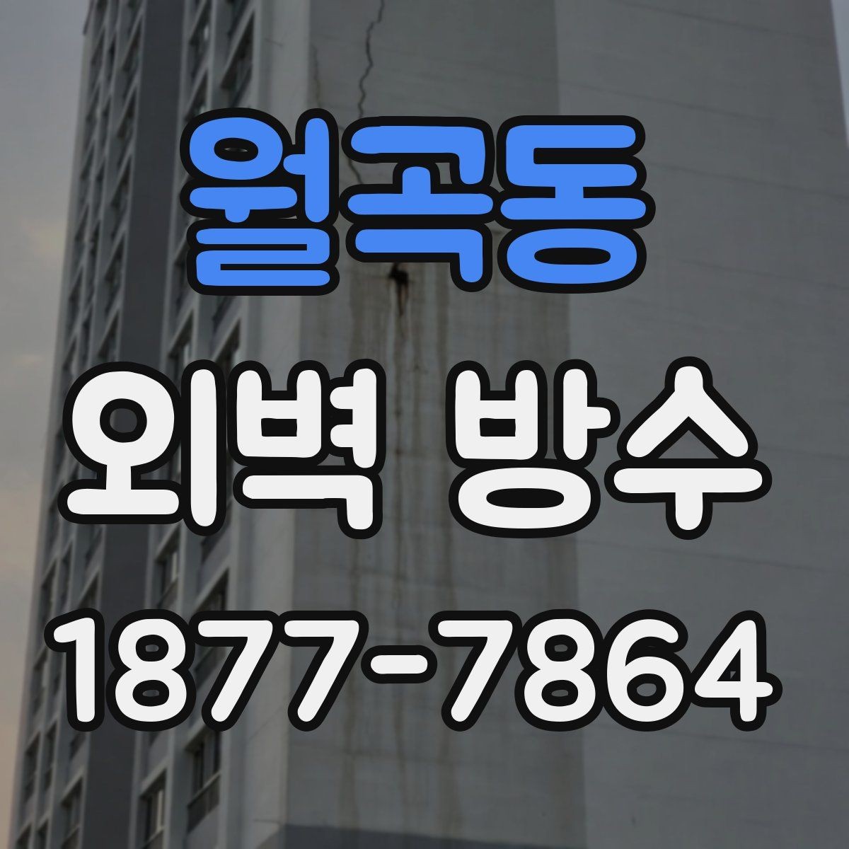 월곡동 외벽 방수 공사 전 상담 시 질문 목록