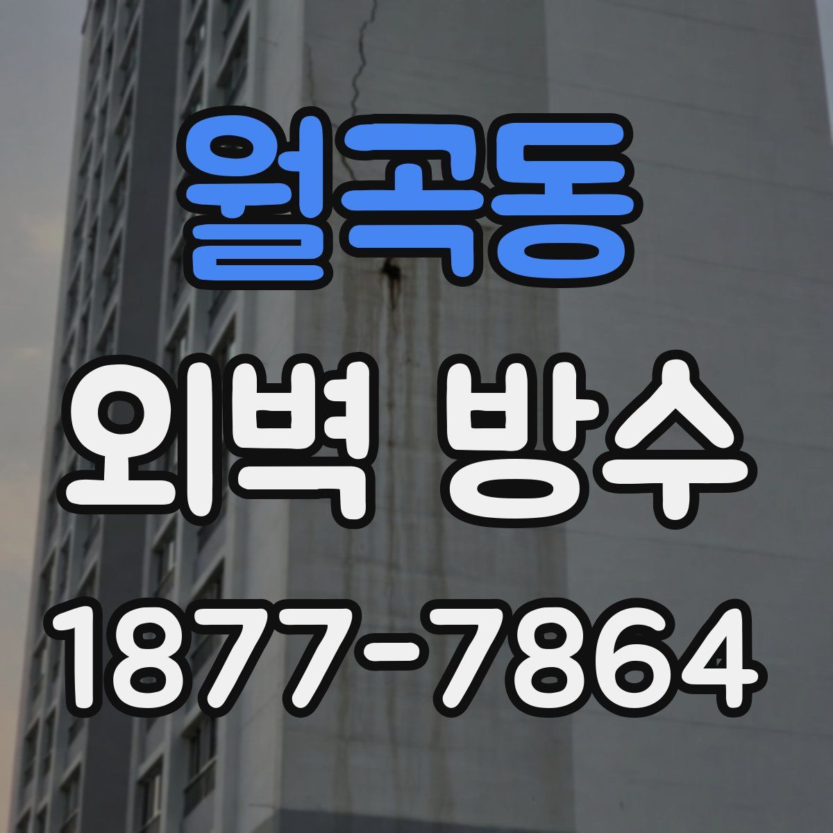 월곡동 외벽 방수