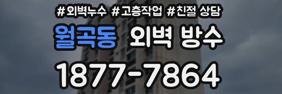월곡동 외벽 방수