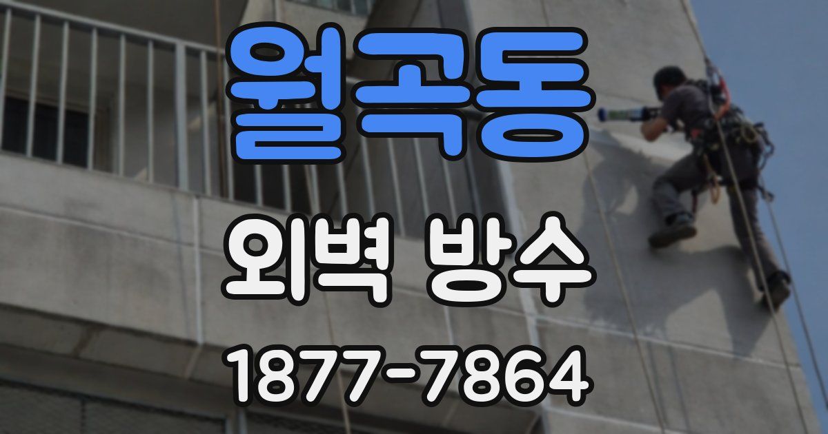 월곡동 외벽 방수