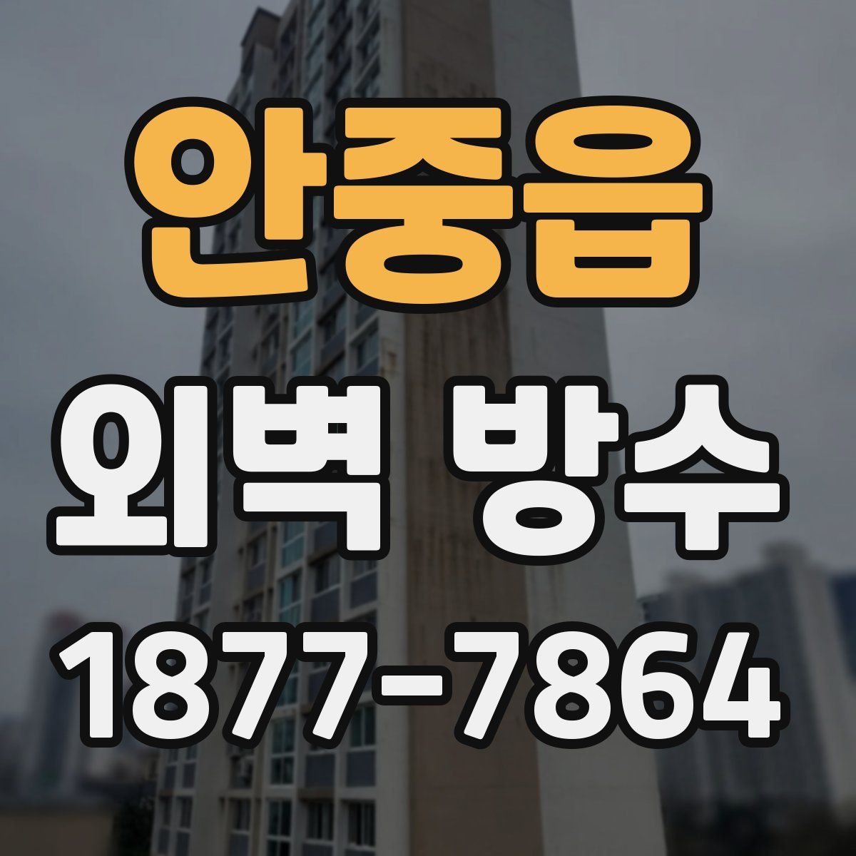 안중읍 외벽 방수